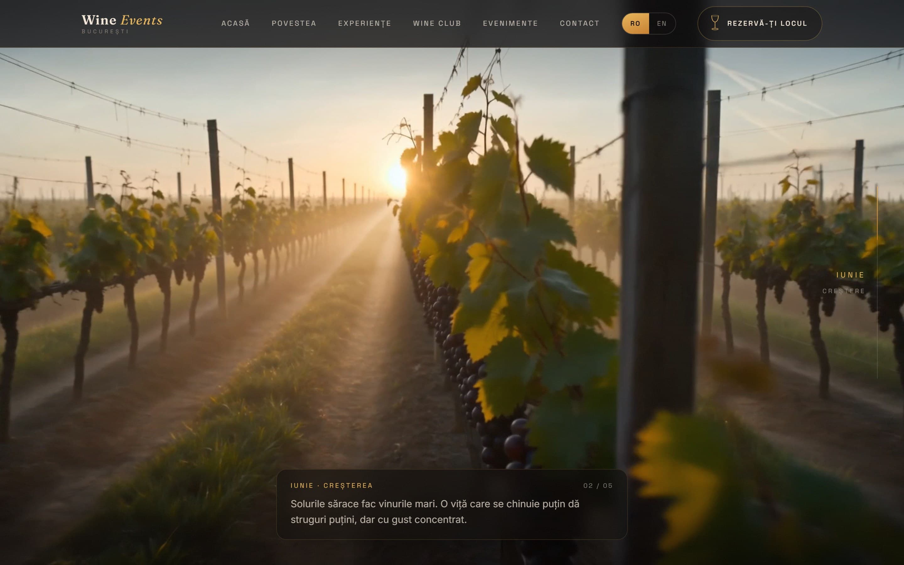 Alt ecran din site-ul Wine Events